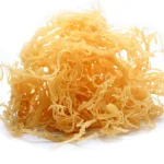 sea moss gummies